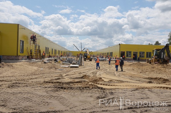 &laquo;По последнему слову техники&raquo;. В Воронеже открылась быстровозводимая больница с дельфином-топиаром