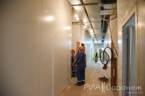 &laquo;По последнему слову техники&raquo;. В Воронеже открылась быстровозводимая больница с дельфином-топиаром