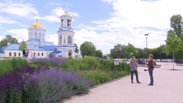 Код доступа. Сотням воронежских бизнесменов во время пандемии отказали в помощи государства