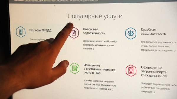 МФЦ смогут обслуживать россиян на дому