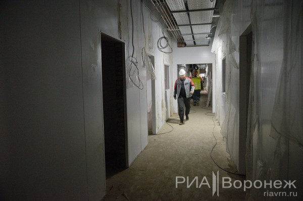 &laquo;По последнему слову техники&raquo;. В Воронеже открылась быстровозводимая больница с дельфином-топиаром