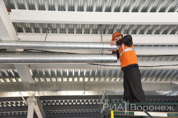 &laquo;По последнему слову техники&raquo;. В Воронеже открылась быстровозводимая больница с дельфином-топиаром