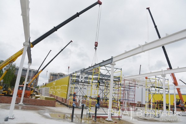 &laquo;По последнему слову техники&raquo;. В Воронеже открылась быстровозводимая больница с дельфином-топиаром