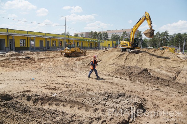 &laquo;По последнему слову техники&raquo;. В Воронеже открылась быстровозводимая больница с дельфином-топиаром