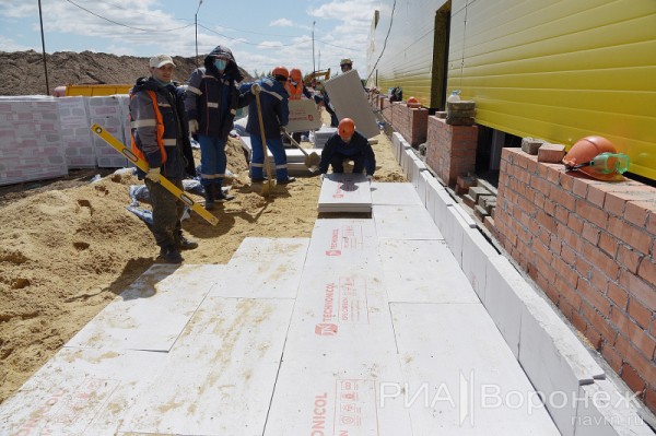 &laquo;По последнему слову техники&raquo;. В Воронеже открылась быстровозводимая больница с дельфином-топиаром