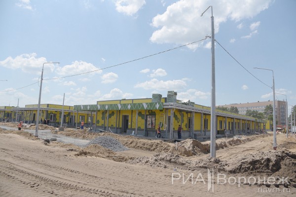 &laquo;По последнему слову техники&raquo;. В Воронеже открылась быстровозводимая больница с дельфином-топиаром