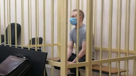 Сбившего трёх пешеходов в Воронеже полицейского отправили под домашний арест