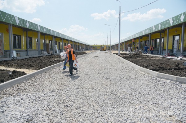 &laquo;По последнему слову техники&raquo;. В Воронеже открылась быстровозводимая больница с дельфином-топиаром