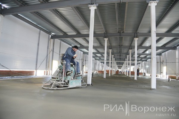 &laquo;По последнему слову техники&raquo;. В Воронеже открылась быстровозводимая больница с дельфином-топиаром