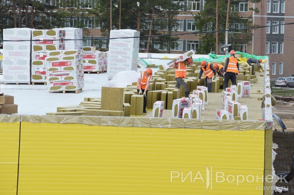&laquo;По последнему слову техники&raquo;. В Воронеже открылась быстровозводимая больница с дельфином-топиаром