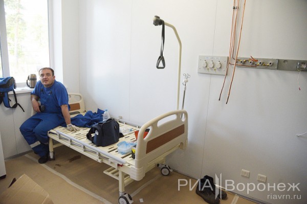 &laquo;По последнему слову техники&raquo;. В Воронеже открылась быстровозводимая больница с дельфином-топиаром