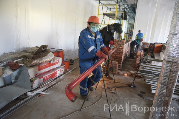 &laquo;По последнему слову техники&raquo;. В Воронеже открылась быстровозводимая больница с дельфином-топиаром