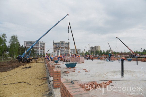 &laquo;По последнему слову техники&raquo;. В Воронеже открылась быстровозводимая больница с дельфином-топиаром