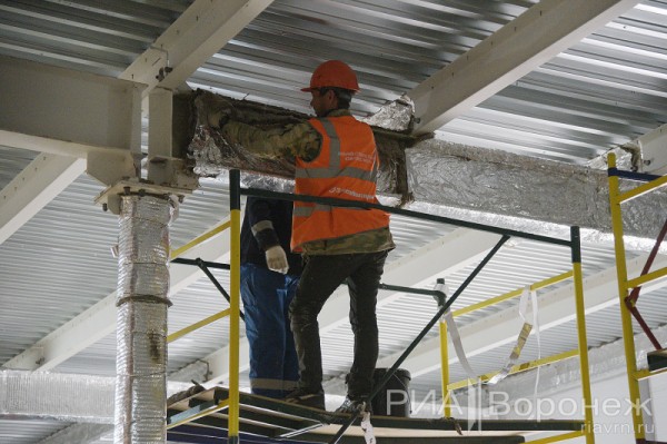 &laquo;По последнему слову техники&raquo;. В Воронеже открылась быстровозводимая больница с дельфином-топиаром