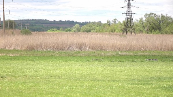 В Воронежской области запустили производство биотоплива из камыша