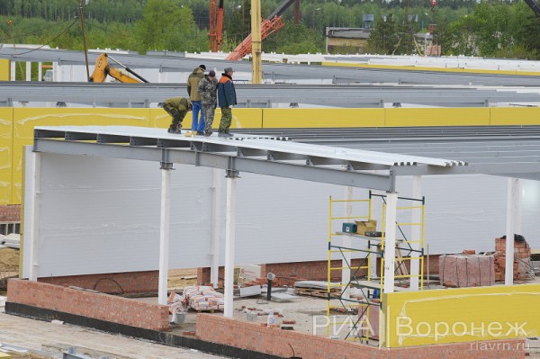 &laquo;По последнему слову техники&raquo;. В Воронеже открылась быстровозводимая больница с дельфином-топиаром