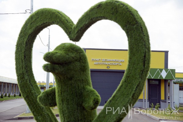 &laquo;По последнему слову техники&raquo;. В Воронеже открылась быстровозводимая больница с дельфином-топиаром