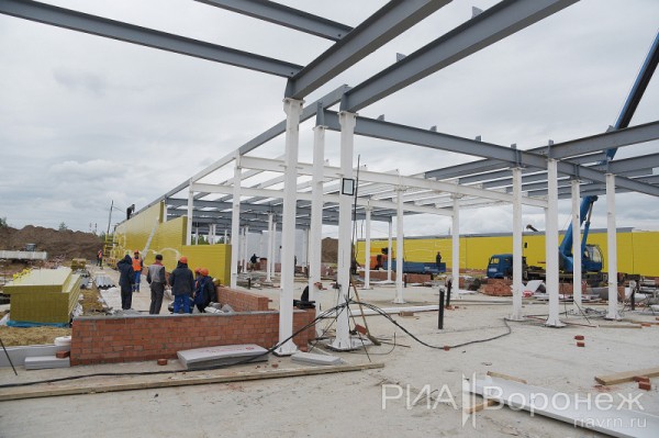 &laquo;По последнему слову техники&raquo;. В Воронеже открылась быстровозводимая больница с дельфином-топиаром