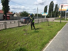 В Воронеже ведутся работы по благоустройству