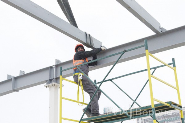 &laquo;По последнему слову техники&raquo;. В Воронеже открылась быстровозводимая больница с дельфином-топиаром