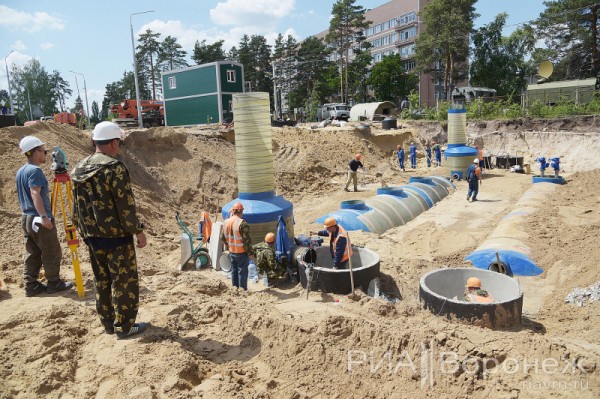 &laquo;По последнему слову техники&raquo;. В Воронеже открылась быстровозводимая больница с дельфином-топиаром