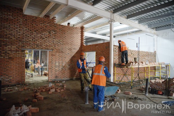&laquo;По последнему слову техники&raquo;. В Воронеже открылась быстровозводимая больница с дельфином-топиаром