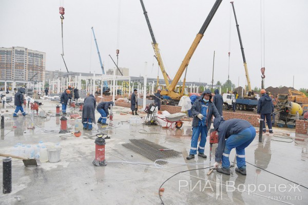 &laquo;По последнему слову техники&raquo;. В Воронеже открылась быстровозводимая больница с дельфином-топиаром
