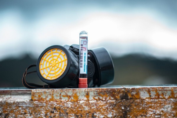 В Воронежской области коронавирусом за сутки заболели ещё 196 человек
