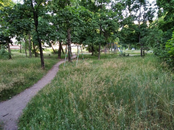 В Воронеже умирает улица Остужева. Посмотрим девять фото и ужаснемся вместе