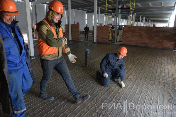 &laquo;По последнему слову техники&raquo;. В Воронеже открылась быстровозводимая больница с дельфином-топиаром