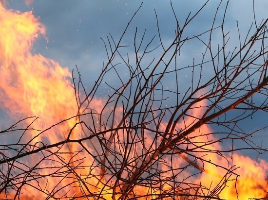 Штормовое предупреждение объявили в Воронежской области на 28 июня