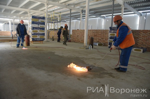 &laquo;По последнему слову техники&raquo;. В Воронеже открылась быстровозводимая больница с дельфином-топиаром
