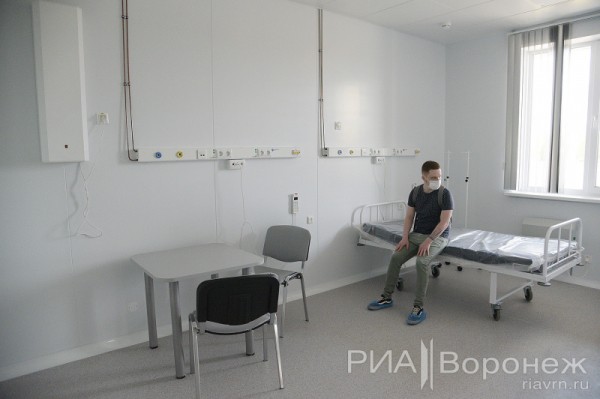 &laquo;По последнему слову техники&raquo;. В Воронеже открылась быстровозводимая больница с дельфином-топиаром