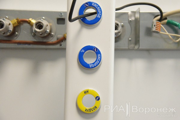 &laquo;По последнему слову техники&raquo;. В Воронеже открылась быстровозводимая больница с дельфином-топиаром