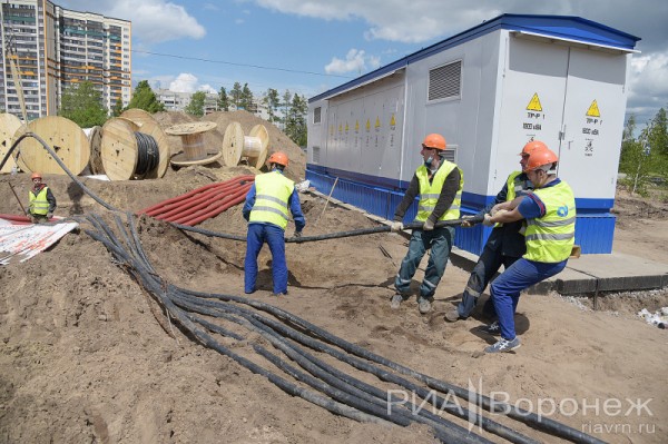 &laquo;По последнему слову техники&raquo;. В Воронеже открылась быстровозводимая больница с дельфином-топиаром