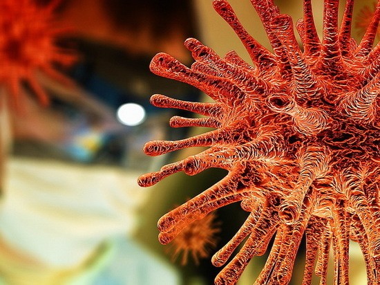 В Воронежской области от коронавируса умерли 19 пациентов