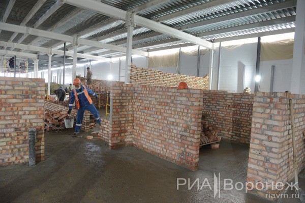 &laquo;По последнему слову техники&raquo;. В Воронеже открылась быстровозводимая больница с дельфином-топиаром