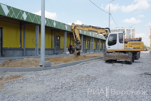 &laquo;По последнему слову техники&raquo;. В Воронеже открылась быстровозводимая больница с дельфином-топиаром