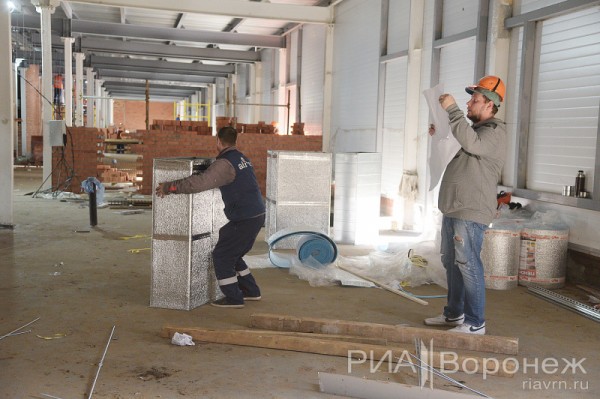 &laquo;По последнему слову техники&raquo;. В Воронеже открылась быстровозводимая больница с дельфином-топиаром