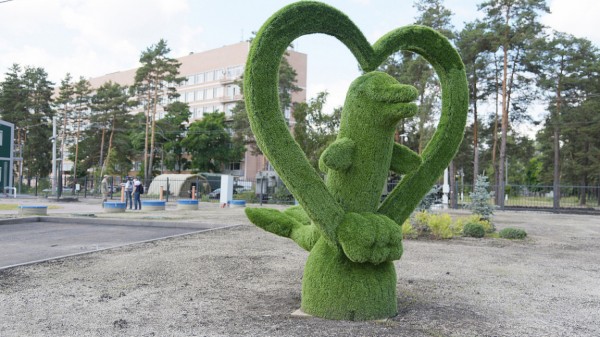 &laquo;По последнему слову техники&raquo;. В Воронеже открылась быстровозводимая больница с дельфином-топиаром