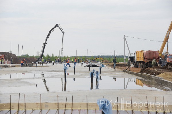 &laquo;По последнему слову техники&raquo;. В Воронеже открылась быстровозводимая больница с дельфином-топиаром