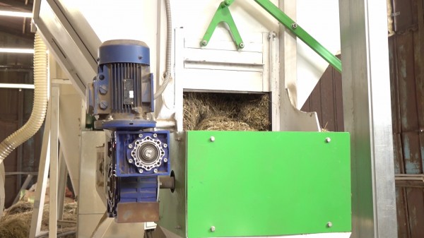 В Воронежской области запустили производство биотоплива из камыша