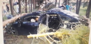 В Воронеже &laquo;Форд&raquo; снёс столб и влетел в деревья: водитель погиб