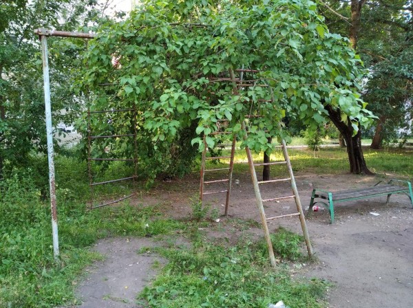 В Воронеже умирает улица Остужева. Посмотрим девять фото и ужаснемся вместе