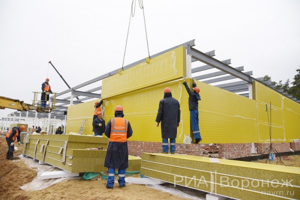 &laquo;По последнему слову техники&raquo;. В Воронеже открылась быстровозводимая больница с дельфином-топиаром