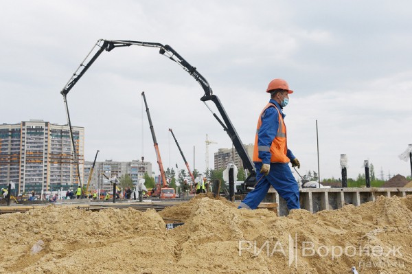 &laquo;По последнему слову техники&raquo;. В Воронеже открылась быстровозводимая больница с дельфином-топиаром