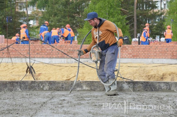 &laquo;По последнему слову техники&raquo;. В Воронеже открылась быстровозводимая больница с дельфином-топиаром