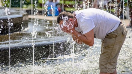 В Воронежской области на 5 дней объявили штормовое предупреждение из-за сильной жары