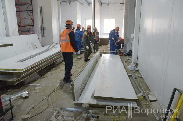 &laquo;По последнему слову техники&raquo;. В Воронеже открылась быстровозводимая больница с дельфином-топиаром