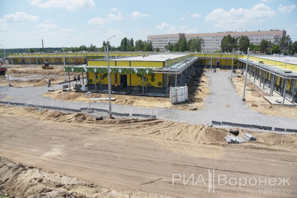 &laquo;По последнему слову техники&raquo;. В Воронеже открылась быстровозводимая больница с дельфином-топиаром